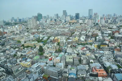 DSC_3596 (Large).JPG